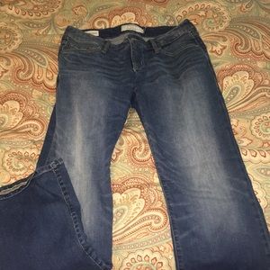 Torrid jeans